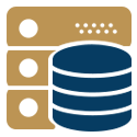 RAID Server